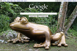 google-frog