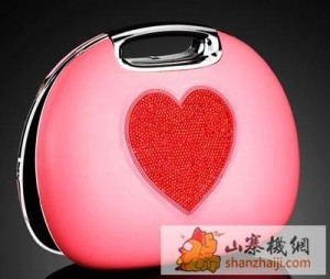 netbook-handbag