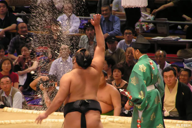 sumo_wrestler_ipad