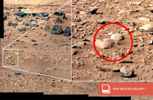 dnews-files-2013-05-mars-rat-670x440-130529-jpg
